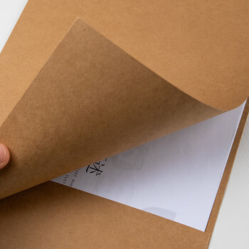 齐心（COMIX）10只A4牛皮纸纯浆文件套 L型资料文件袋文件快递袋耐用二页文件夹 DS-320黄