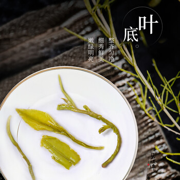 碧螺2026新茶绿茶苏州炒青自饮口粮茶碧螺春送礼特级200g雨前新茶纸包