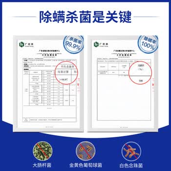 绿伞洗衣机槽杀菌除螨清洗液波轮滚筒洗衣机用清洁液660g×2瓶