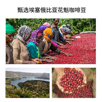 LUJIAZUI鹿家嘴埃塞耶加雪菲精品挂耳咖啡现磨口感手冲纯黑咖啡10g*30杯