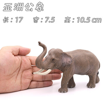 实心仿真大象模型野生动物非洲象亚洲象玩具套装认知摆件礼物儿童