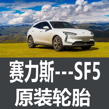 朝阳seres赛力斯sf5轮胎原厂原车原装德国马牌米其林金康25545r20朝阳