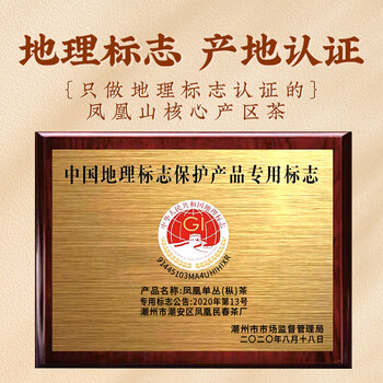 珍茶师乌龙茶凤凰单枞鸭屎香特级500g罐装潮州单丛茶叶送礼