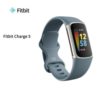 fitbit新品价格报价行情- 京东