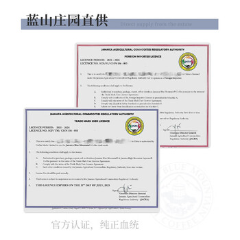 RA.BURI 牙买加蓝山咖啡豆阿拉比卡精品单品手冲豆中度烘焙麻袋装227g