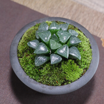 月影玉露 碗形紫砂瓷盆 带盆栽好