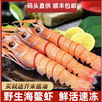 鳌虾新鲜速冻野生海鳌虾甜虾刺身海鳌虾 1000g 17-19cm【图片 价格