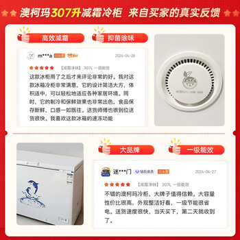澳柯玛（AUCMA）307升单温冷柜家用减霜大冰柜 冷藏柜冷冻柜转换卧式冰箱雪糕柜一级能效 BC/BD-307HNE 