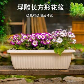 爱丽思 长方形种菜盆家用室内阳台大号花盆蔬菜种植箱室外塑料栽菜盆 370浅米色