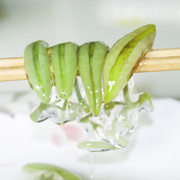 莼菜1000g恩施利川佛宝山马蹄菜 高山特产太湖西湖石柱 2500g【图片 