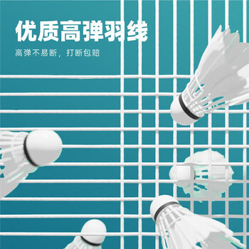 李宁（LI-NING）羽毛球拍超轻5u全碳素羽拍单拍套装锋影小钢炮已穿线 黑色