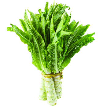 莴笋新鲜青笋莴笋尖 农家自种现摘莴苣笋时令蔬菜 5斤【图片 价格 品