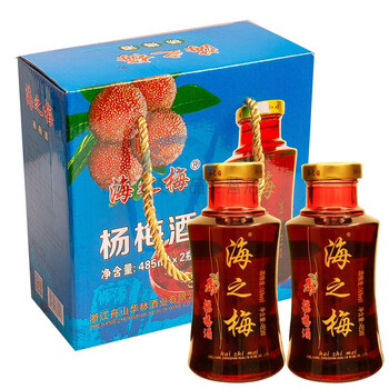 俏滋郎海仙配杨梅酒480ml×6大瓶 普陀山东海鲜配自酿果酒舟山特产送