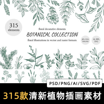 手绘植物线稿线描花边png花朵叶子ps花纹svg花卉logo素材ai矢量图 图片价格品牌报价 京东