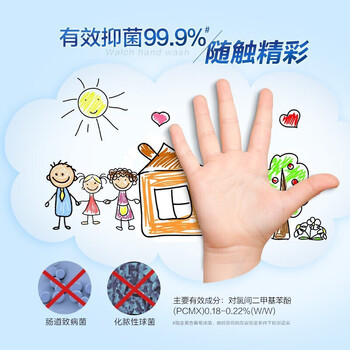威露士泡沫洗手液健康呵护300ml*6 抑菌99.9%泡沫易冲洗 保障家人健康