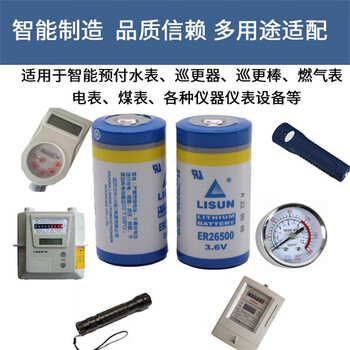 正鑫远 ER26500 2号3.6V 流量计计量表煤气表燃气表仪表锂电池带插头/带引线(2个) 正鑫远 ER26500 2号3.6V 流量计计量表煤气表燃气表仪表锂电池带插头/带引线(2个)