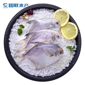 國聯 東海白鯧魚 銀鯧魚 600g 5-8條 深海魚產地直供 國產生鮮