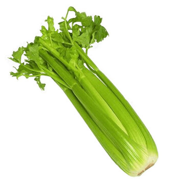 新鲜蔬菜芹菜西芹西洋芹山东脆嫩无丝碎种植西芹榨汁 2斤