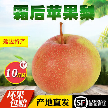 小憨哇顺丰东北延吉苹果梨龙井特产霜后新鲜孕妇水果酸甜脆多汁10斤特