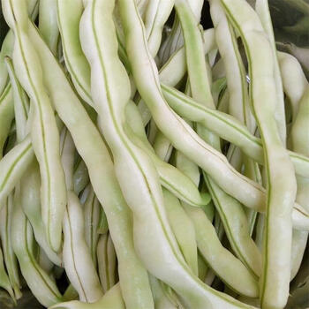 东北架豆王新鲜四季豆5斤白不老豆角农家蔬菜当季芸豆现摘现发1000g