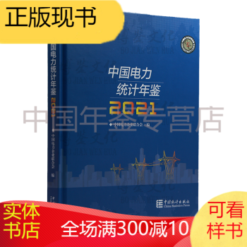 中国能源统计年鉴2020(中文) 2021中国电力统计年鉴
