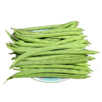 四季豆扁芸豆豆角新鲜无筋架豆王整箱 15斤