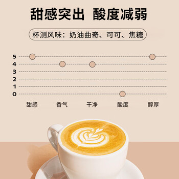 Seesaw 鹦鹉意式拼配咖啡豆500g 奶油曲奇可可焦糖风味口粮豆