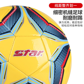 世达（star）足球4号球儿童少儿青少年标准训练比赛用球机缝耐磨 SB8664-05