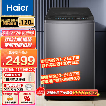 海尔（Haier)波轮洗衣机全自动家电  以旧换新  内衣除菌  脱水机 直驱变频  10公斤 双动力100B36PLUS5