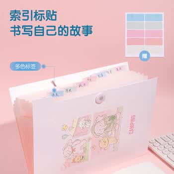 得力（deli）A4/8格便携风琴包 文件资料手提包资料册收纳夹 小学初高中试卷票据资料收纳册 文件保护混色PM303