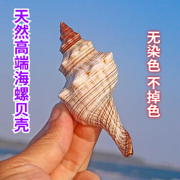 yuepw小海螺价格报价行情- 京东