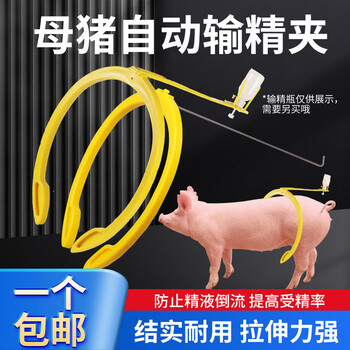 猪博士大号输精夹价格报价行情- 京东