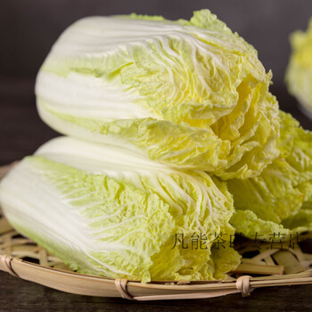 5斤小娃娃菜新鲜青菜蔬菜河南农家自种黄心火锅菜品