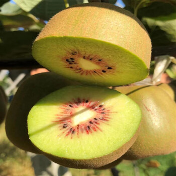 弥猴桃大果整箱蒲江红心猕猴桃新鲜现摘现发6枚小果丨5070g个头较小