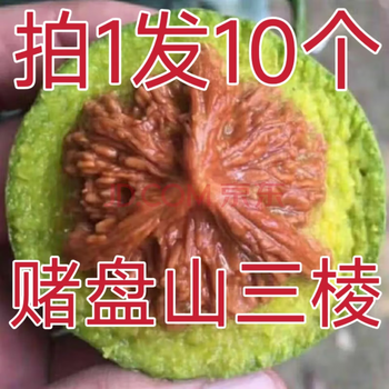 文玩核桃 原树吸血鬼官帽 32mm 文玩官帽核桃价格报价行情- 京东