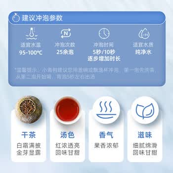 茶马世家普洱茶新会小青柑正宗生晒陈皮普洱熟茶柑普茶节日礼盒250g