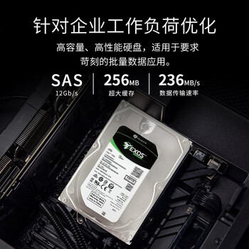 希捷（SEAGATE）企业级硬盘 2TB 256MB 7200RPM CMR垂直 SAS 希捷银河Exos 7E10系列 服务器硬盘ST2000NM001B
