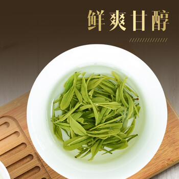 天旭白茶安吉 茶叶绿茶 新茶春茶茗茶 明前特级珍惜白茶罐装250g