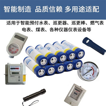 正鑫远 ER14505 3.6V 5号电池流量计量表水表电池平头(裸电池)(5个) 正鑫远 ER14505 3.6V 5号电池流量计量表水表电池平头(裸电池)(5个)