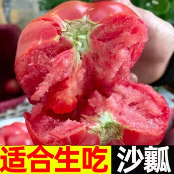 农大姐妹 西红柿 大番茄 新鲜水果沙瓤西红柿 自然熟 新鲜柿子 生吃西红柿 5斤