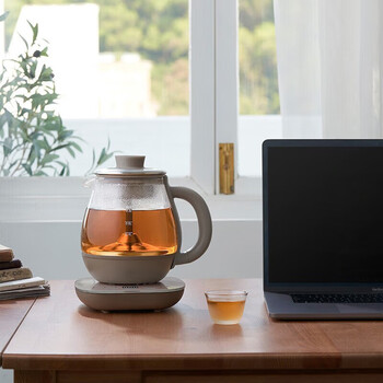 小熊煮茶器 养生壶电热水壶蒸茶器喷淋式不锈钢烧水壶0.8升ZCQ-A08H2