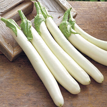 寿禾白蛋茄白茄子种子蛋树春季播种鸡蛋茄白长茄纯白圆茄瓜家庭种植阳台盆栽四季寿光蔬菜种籽菜籽