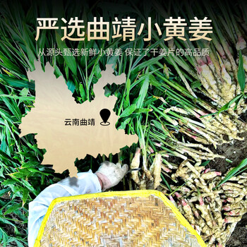 贡苑 干姜片260g 云南小黄姜泡茶可磨姜粉煮姜汤老姜茶干姜丝片养生茶