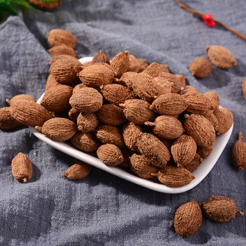 虎钢馋砂仁500克 广砂仁 阳春沙仁西砂仁 烧菜卤肉火锅香料调料大全