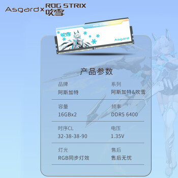 阿斯加特（Asgard）32GB(16GBx2)套 DDR5 6400 台式机内存 RGB灯条-吹雪联名款 适配黑神话悟空