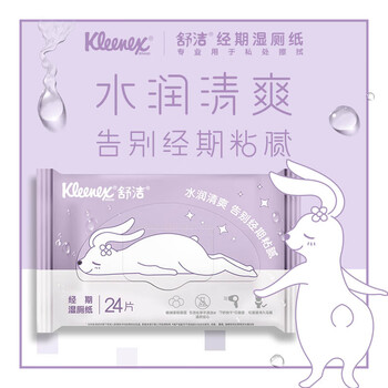 舒洁（Kleenex）湿厕纸24抽*10包湿厕纸小包洁厕湿纸巾湿厕纸女性专用湿巾厕纸