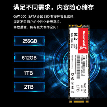 长城(Great Wall) 512GB SSD固态硬盘 M.2接口SATA协议 读速540MB/S GW1000系列 长城(Great Wall) 512GB SSD固态硬盘 M.2接口SATA协议 读速540MB/S GW1000系列