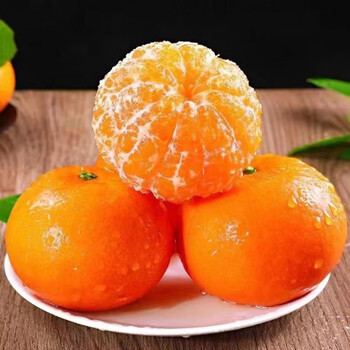 其他品牌云南正宗薄皮新鲜沃柑时令新鲜现摘现卖柑橘整箱新鲜水果橘子