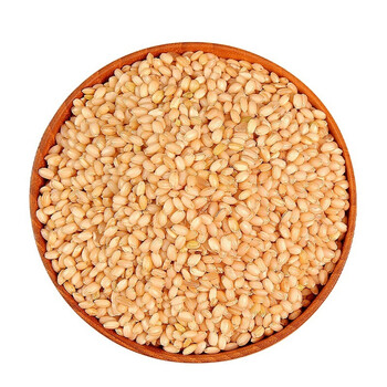 恒愎糙糯米东北粘米当季新米圆粒酿酒黏米农家全胚芽五谷杂粮5斤装粮5