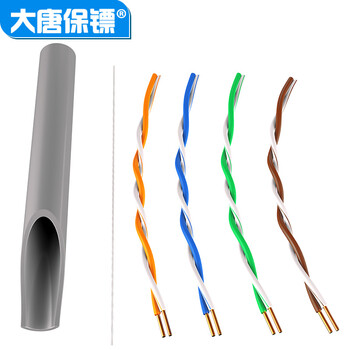 大唐保镖 超五类网线（工程级0.48±0.02）无氧铜线芯 非屏蔽CAt5家装工程布线双绞线305米 DT2905E
